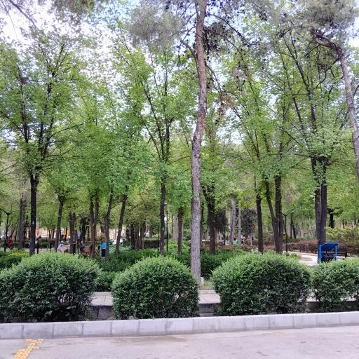 عکس بوستان جماران