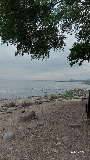 عکس تفریحات دریایی کلوپ دلفین