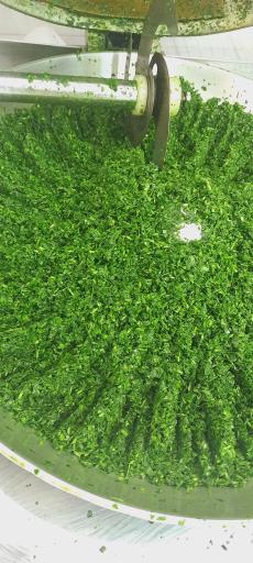 عکس سبزی خردکنی مادر و پسر