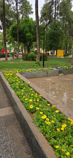 عکس بوستان جماران