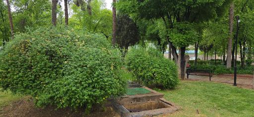 عکس بوستان جماران