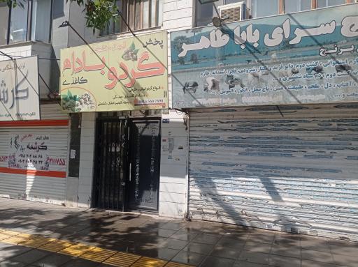 عکس برنج باباطاهر