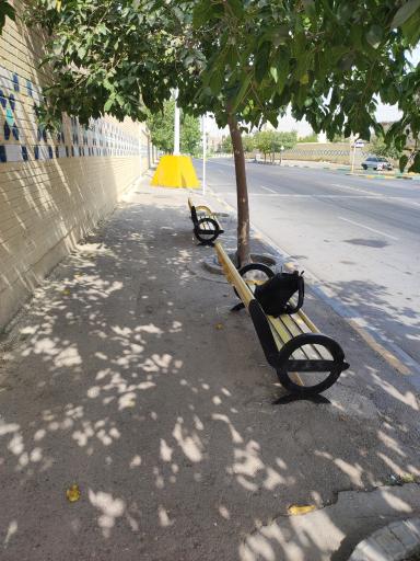 عکس  عمار یاسر 1