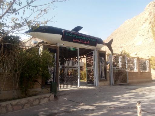 عکس استخر شهید ترانی مهدیشهر