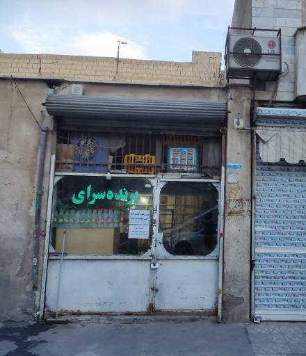 عکس پرنده سرای خرم