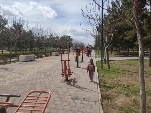 عکس پارک جوان