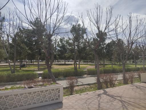 عکس پارک جوان