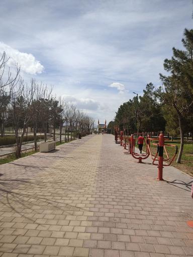 عکس پارک جوان