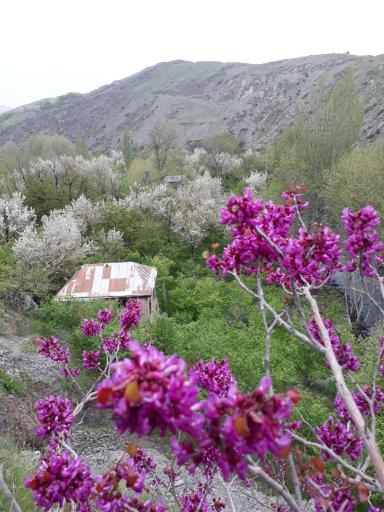 عکس پنج دره