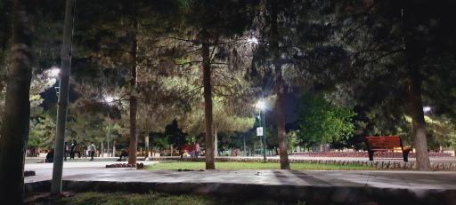 عکس پارک جوان