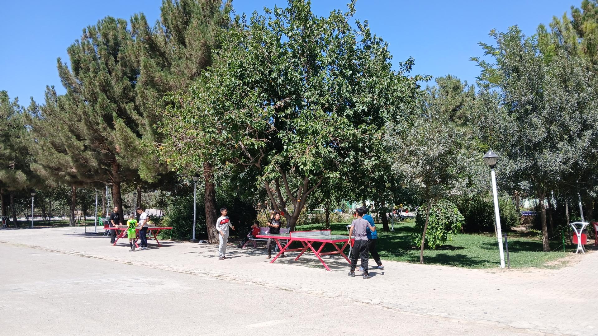 عکس پینگ پنگ تنیس روی میز