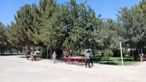 عکس پینگ پنگ تنیس روی میز