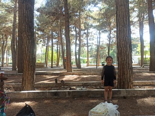 عکس پارک جنگلی محلات