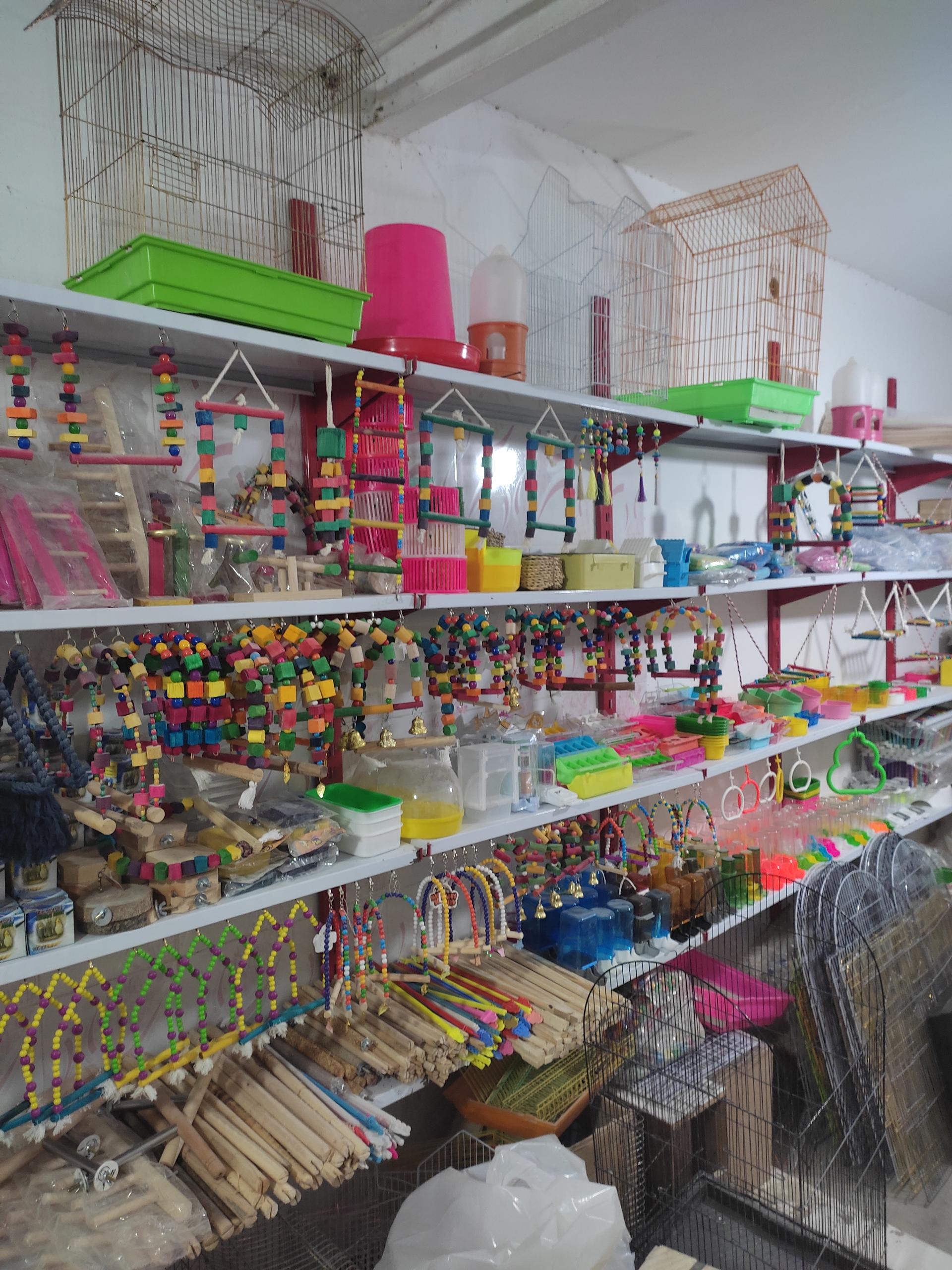 عکس دان و پرنده 