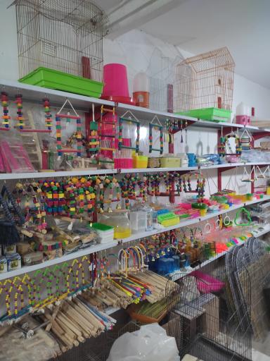 عکس دان و پرنده 