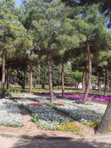 عکس پارک جنگلی محلات