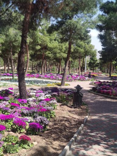 عکس پارک جنگلی محلات