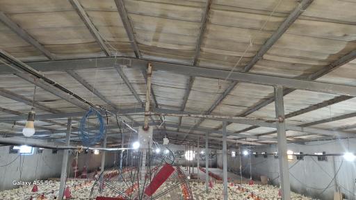 عکس مرغداری محمدرضا مرزبان