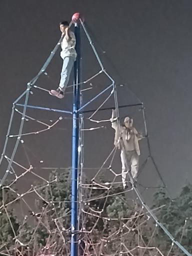 عکس بوستان قائم