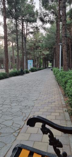 عکس پارک جنگلی محلات