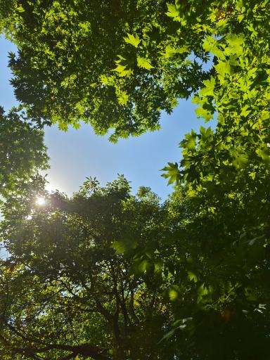 عکس پنج دره