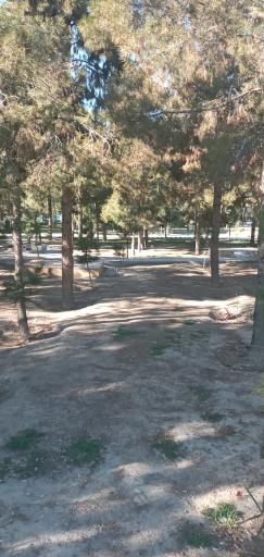 عکس پارک لاله