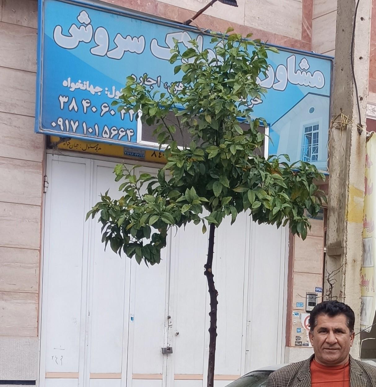 عکس مشاور املاک سروش