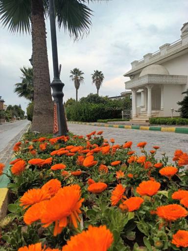 عکس شهرک کوه نور 