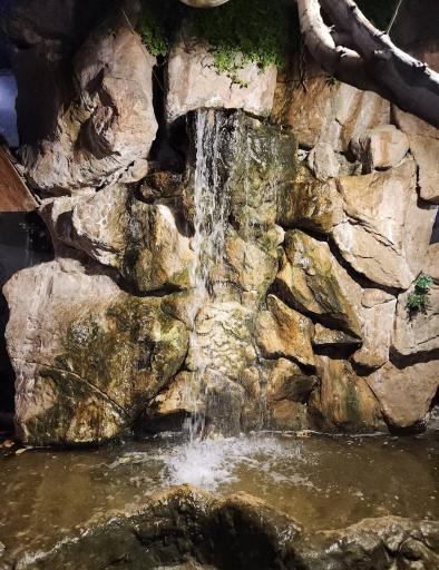 عکس رستوران مهستان شاندیز