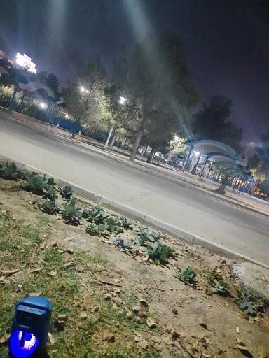 عکس پارک لاله