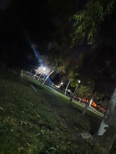 عکس پارک لاله