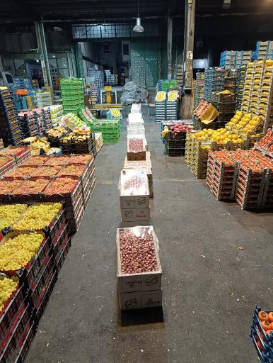 عکس حق العمل کاری محمد پاشایی