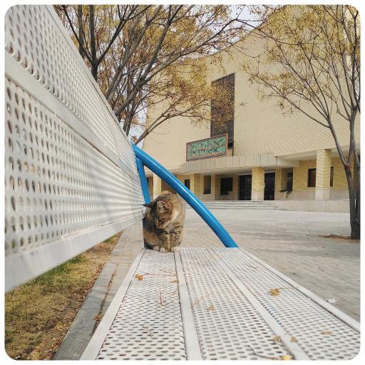 عکس دانشکده دامپزشکی