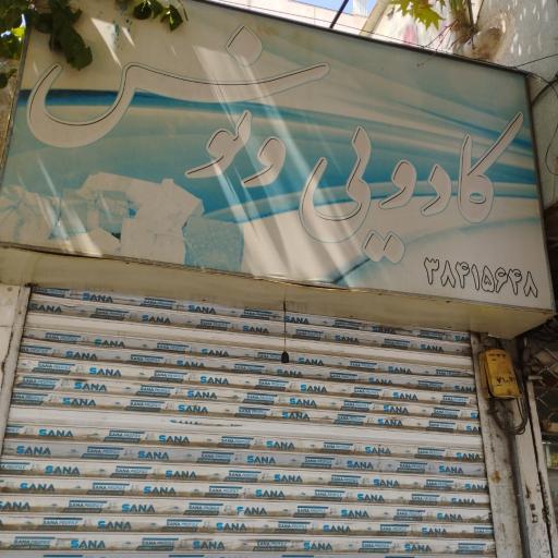 عکس کادویی ونوس