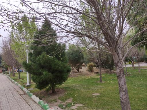 عکس پارک لاله