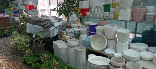 عکس مجتمع گل و گیاه گلایسین