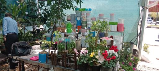 مجتمع گل و گیاه گلایسین