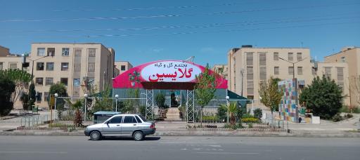 عکس مجتمع گل و گیاه گلایسین