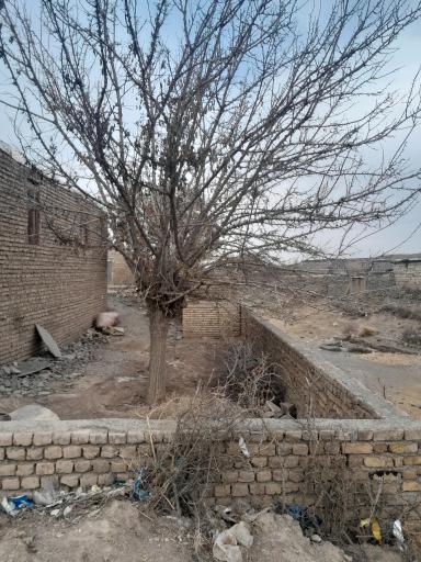عکس قرنه سفلی