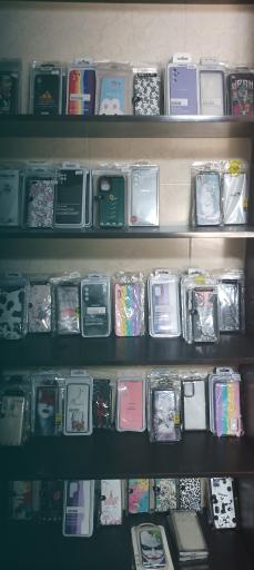 عکس موبایل پاشا