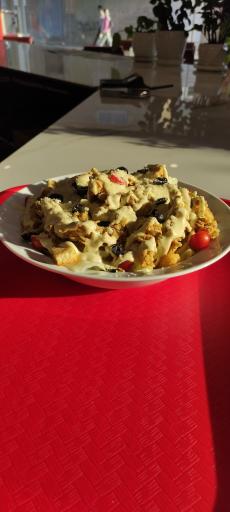 عکس فودلند نکا