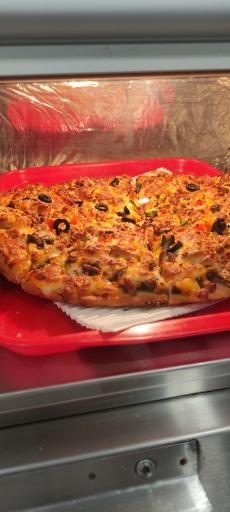 عکس فودلند نکا