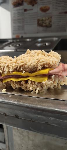 عکس فودلند نکا