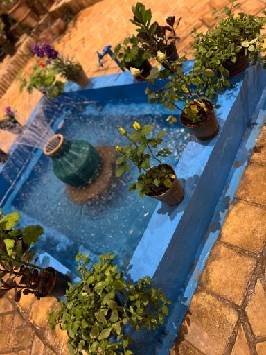 عکس هتل سنتی خالومیرزا