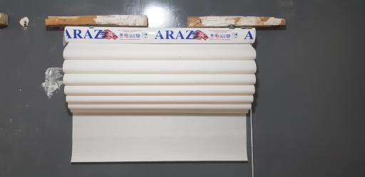 عکس زبرا فونیکس