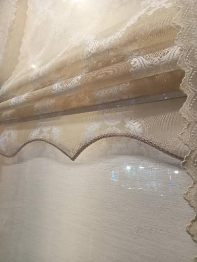 عکس زبرا فونیکس