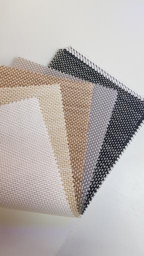 زبرا فونیکس