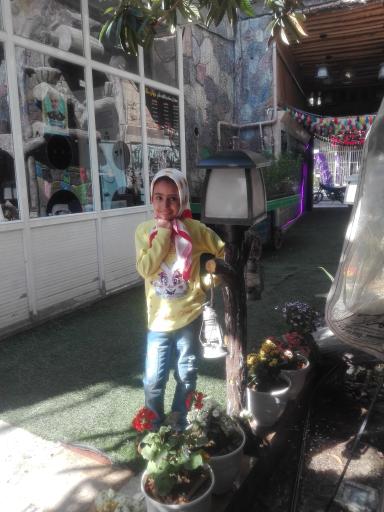 عکس رستوران دیوان سالار