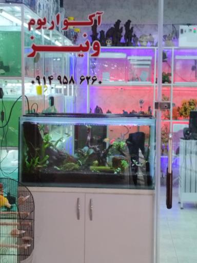 عکس اکواریوم ونیز