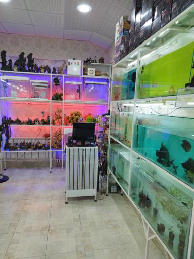 عکس اکواریوم ونیز